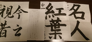 resize8380.jpg