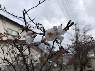 resize9513.jpg