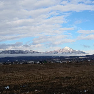 resize11349.jpg